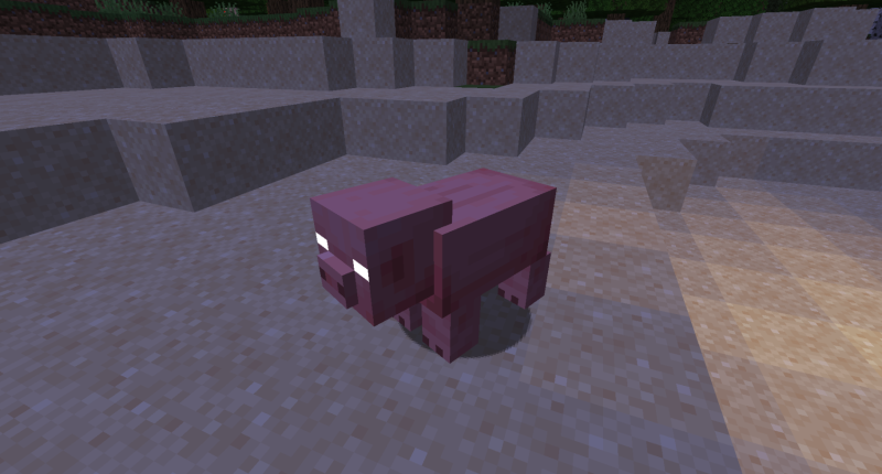Herobrine Infected Pig